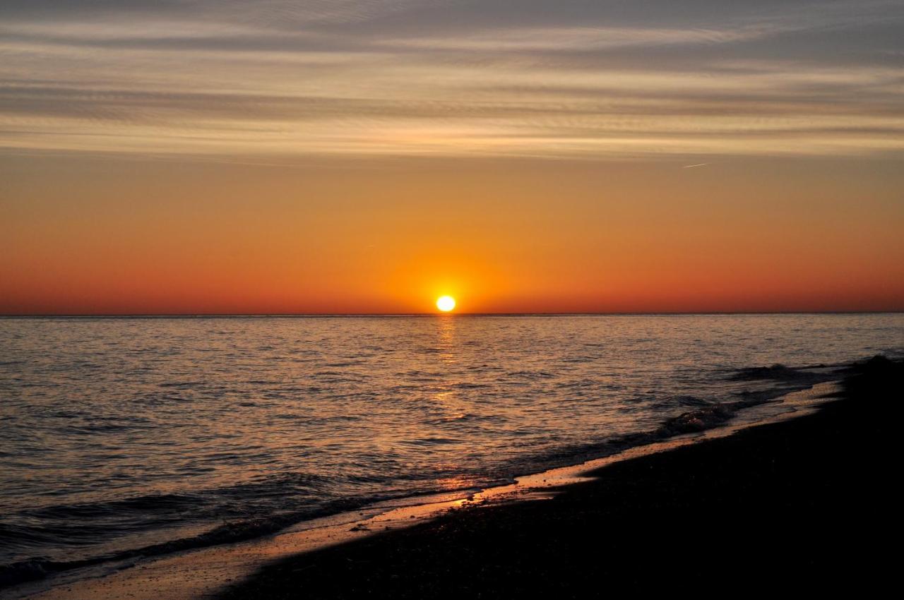 Delas Denia